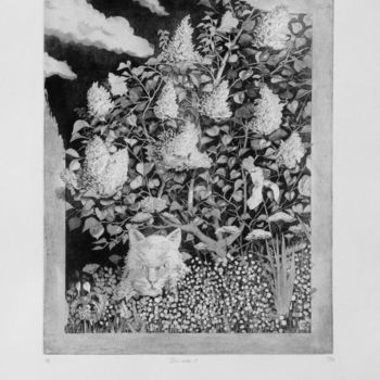 Gravures & estampes intitulée "Hors cadre-1" par Jean-Christophe Sylvos, Œuvre d'art originale, Gravure
