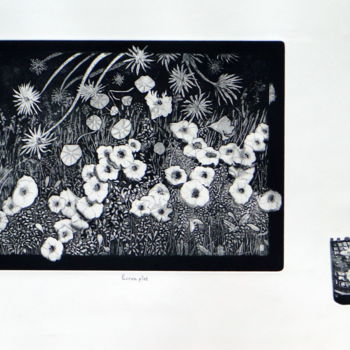 Printmaking titled "Ecran plat et sa té…" by Jean-Christophe Sylvos, Original Artwork, Engraving