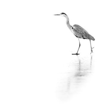 Fotografia zatytułowany „le Patineur” autorstwa Jean Charles Ouvrard, Oryginalna praca, Fotografia cyfrowa Zamontowany na Al…