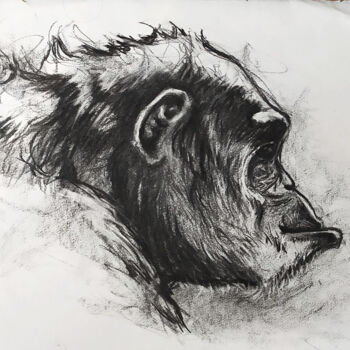 Dibujo titulada "Portrait de chimpan…" por Jean-Baptiste De Poret, Obra de arte original, Carbón