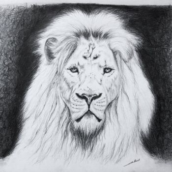Disegno intitolato "Dessin de Lion fond…" da Jean-Baptiste De Poret, Opera d'arte originale, Matita