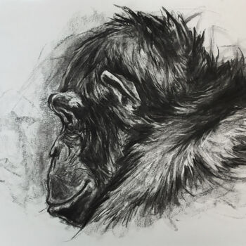 Desenho intitulada "Portrait de chimpan…" por Jean-Baptiste De Poret, Obras de arte originais, Carvão