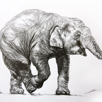 Tekening getiteld "Dessin d'elephanteau" door Jean-Baptiste De Poret, Origineel Kunstwerk, Potlood