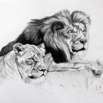 Dessin intitulée "Lion, Lionne à l'af…" par Jean-Baptiste De Poret, Œuvre d'art originale, Crayon