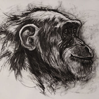 Disegno intitolato "Portrait de Chimpan…" da Jean-Baptiste De Poret, Opera d'arte originale, Carbone