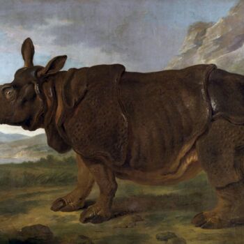 Картина под названием "Clara le rhinocéros…" - Jean-Baptiste Oudry, Подлинное произведение искусства, Масло