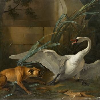 Картина под названием "Cygne attaqué par u…" - Jean-Baptiste Oudry, Подлинное произведение искусства, Масло