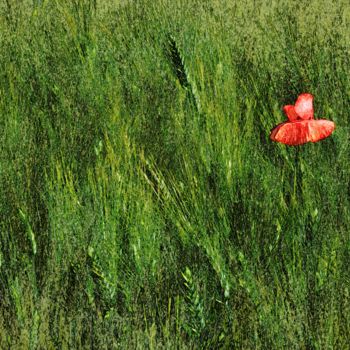 Photography titled "Coquelicot 1" by Imagelys Photographie, Original Artwork, Digital Photography