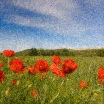 Arts numériques intitulée "Prairie aux coqueli…" par Imagelys Photographie, Œuvre d'art originale, Photographie numérique