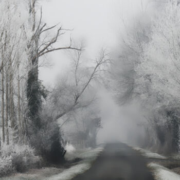 Photographie intitulée "chemin de brume" par Jean Christophe Sanz, Œuvre d'art originale, Photographie numérique