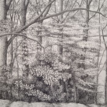 Dessin intitulée "Dans les bois de la…" par Jean-Claude Bemben, Œuvre d'art originale, Encre Monté sur Carton