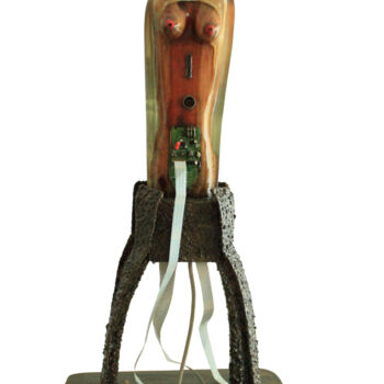 Скульптура под названием "ENET  Déesse de la…" - Jean Claude Causse, Подлинное произведение искусства, Дерево