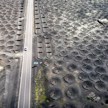 Fotografia zatytułowany „Vignes dans la lave” autorstwa Jean-Claude Mathier, Oryginalna praca, Fotografia cyfrowa