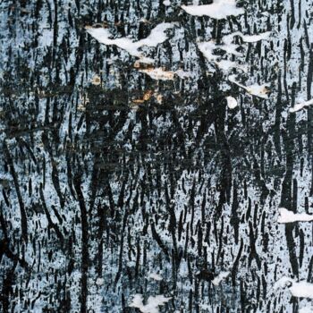 Photographie intitulée "hiver-bages.jpg" par Jean Emmanuel Decaillet, Œuvre d'art originale