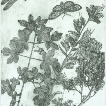 Gravures & estampes intitulée "Plante et insectes" par Jean-François Jullien, Œuvre d'art originale, Gravure