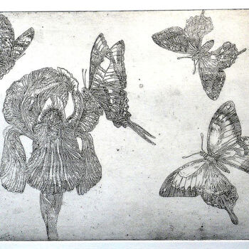 Printmaking titled "Papillons et iris" by Jean-François Jullien, Original Artwork, Engraving