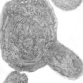 Prenten & gravures getiteld "Micro macrocosme" door Jean-François Jullien, Origineel Kunstwerk, Gravure