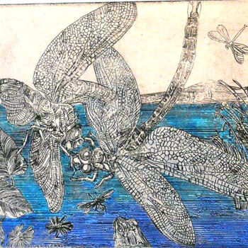 Incisioni, stampe intitolato "Planche entomologiq…" da Jean-François Jullien, Opera d'arte originale, Acquaforte