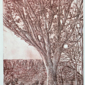 Gravures & estampes intitulée "Chêne blanc en hive…" par Jean-François Jullien, Œuvre d'art originale, Gravure