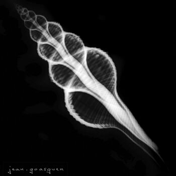 「spirale en majesté」というタイトルのデジタルアーツ Jean Goasguenによって, オリジナルのアートワーク, 2Dデジタルワーク