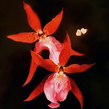 Painting titled "Orchidees_rouges.jpg" by Jean-Jacques Hauser, Original Artwork