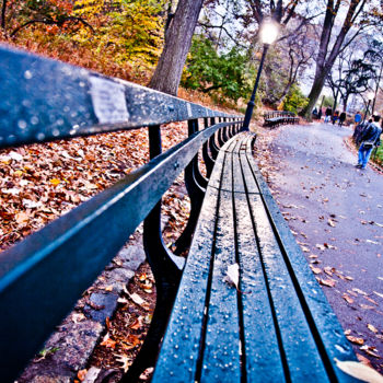 Photography titled "Central Park" by Jl K, Original Artwork