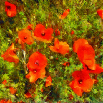 Photography titled "Coquelicots - 3" by Jean-Louis Bouzou, Original Artwork, Digital Photography