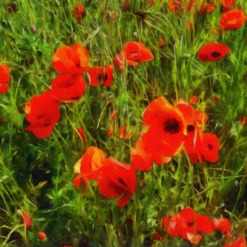 Photography titled "Coquelicots - 6" by Jean-Louis Bouzou, Original Artwork, Digital Photography