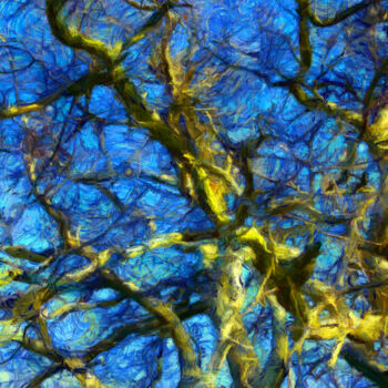 Fotografia intitolato "Branches de chêne" da Jean-Louis Bouzou, Opera d'arte originale, Fotografia digitale