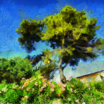 Photographie intitulée "Paysage aux pin et…" par Jean-Louis Bouzou, Œuvre d'art originale, Photographie numérique