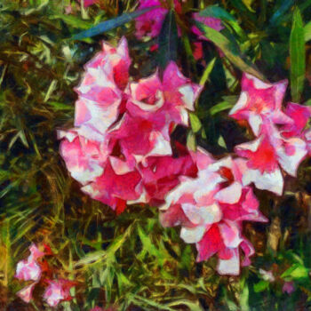 Fotografie mit dem Titel "Laurier rose" von Jean-Louis Bouzou, Original-Kunstwerk, Digitale Fotografie
