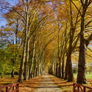 Photographie intitulée "Allée du parc de Ri…" par Jean-Louis Laurence, Œuvre d'art originale