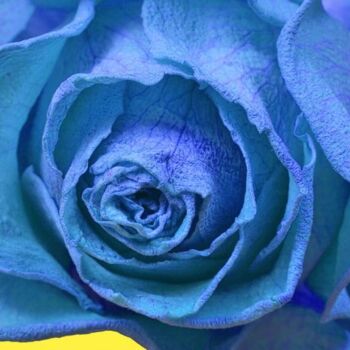 Photographie intitulée "Rose Fanée Bleue" par Jean-Luc Bohin, Œuvre d'art originale