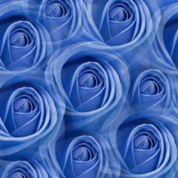 Fotografie mit dem Titel "Roses Bleues" von Jean-Luc Bohin, Original-Kunstwerk