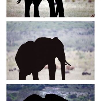Digital Arts με τίτλο "Elephant" από Jean-Luc Bohin, Αυθεντικά έργα τέχνης, Άλλος