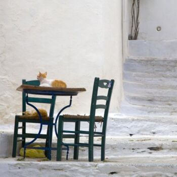 "Amorgos, chats" başlıklı Fotoğraf Jean-Luc Bohin tarafından, Orijinal sanat
