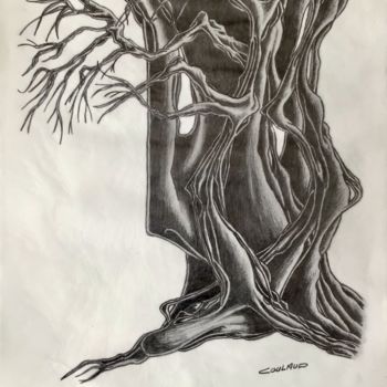 Drawing titled "Étude arbrologique 4" by Jean-Luc Coulaud, Original Artwork, Pencil