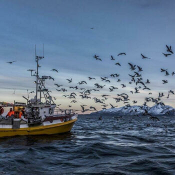 Photography titled "Pêcheurs de morues…" by Jean-Marc Blache, Original Artwork, Digital Photography Mounted on Aluminium