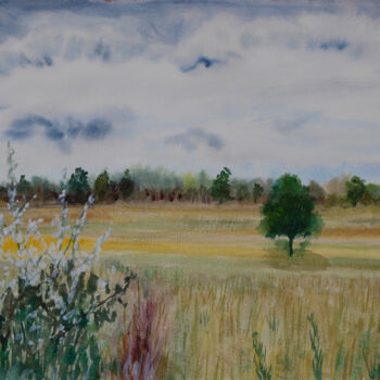 Painting titled "Countryside landsca…" by Jean-Marc Quilichini, Original Artwork, Acrylic