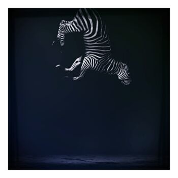 Digital Arts με τίτλο "Equus Zebra Last Sp…" από Jean-Marie Gitard (Mr STRANGE), Αυθεντικά έργα τέχνης, Φωτογραφία Μοντάζ