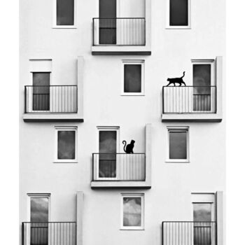Digitale Kunst mit dem Titel "NEIGHBORS" von Jean-Marie Gitard (Mr STRANGE), Original-Kunstwerk, Fotomontage