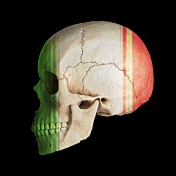 Digitale Kunst mit dem Titel "Italian Skull" von Jean-Marie Gitard (Mr STRANGE), Original-Kunstwerk, Digitale Collage