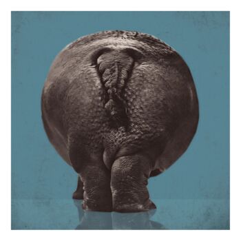 「Hippopotamus」というタイトルのデジタルアーツ Jean-Marie Gitard (Mr STRANGE)によって, オリジナルのアートワーク, デジタルコラージュ