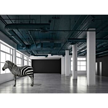 「Equus Zebra II」というタイトルのデジタルアーツ Jean-Marie Gitard (Mr STRANGE)によって, オリジナルのアートワーク, デジタルコラージュ