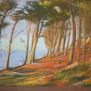 Pittura intitolato "Pointe du Dourven" da Jean-Marie Nicol, Opera d'arte originale, Pastello