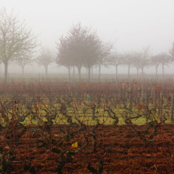 Fotografie getiteld "Bourgogne" door Jean-Marie Virat, Origineel Kunstwerk, Digitale fotografie