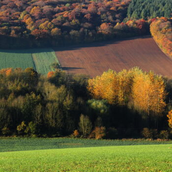 Photographie intitulée "Chennegy #6" par Jean-Marie Virat, Œuvre d'art originale, Photographie numérique