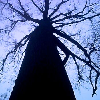 Fotografía titulada "OMBRE GÉANTE" por Jean-Michel Liewig, Obra de arte original