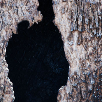 Photographie intitulée "Exode" par Jean-Michel Ripaud, Œuvre d'art originale, Photographie numérique