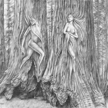 "Les fées de la forêt" başlıklı Resim Jean Paul Boyer tarafından, Orijinal sanat, Kalem